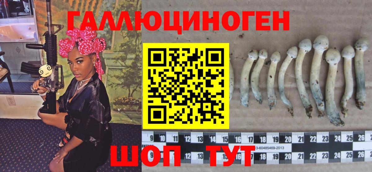 где можно купить наркотик  Галлюциногенные грибы GOLDEN TEACHER  Вход с VPN  Наро-Фоминск 